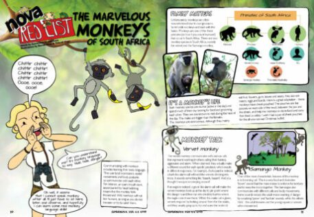 A spread of the Supernova magazine about monkeys