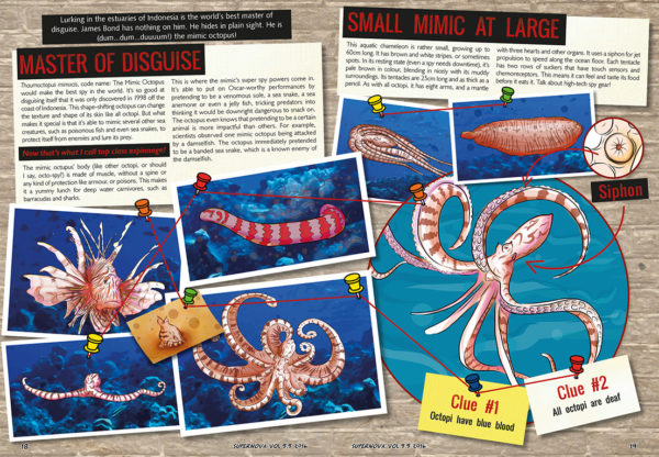 A spread of the Supernova magazine about disguising octopuses