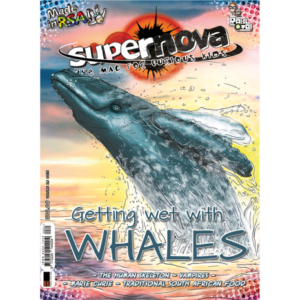 The cover art for Supernova volume 5.1, featuring a breaching whale.