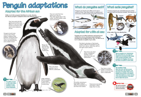 A spread of the Supernova Magazine about penguin adaptations.