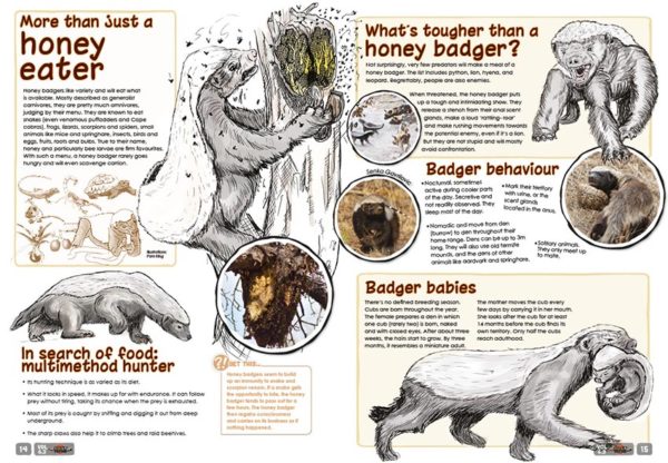 A spread of the supernova magazine about Honey Badgers