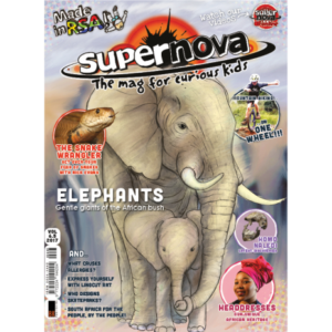 The cover art for Supernova volume 6.5, featuring an elephant.