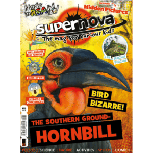 The cover art for Supernova volume 8.1, featuring an illustration of the Southern Ground-Hornbill.
