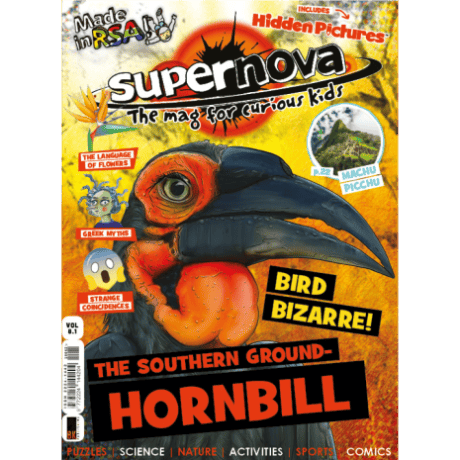 The cover art for Supernova volume 8.1, featuring an illustration of the Southern Ground-Hornbill.