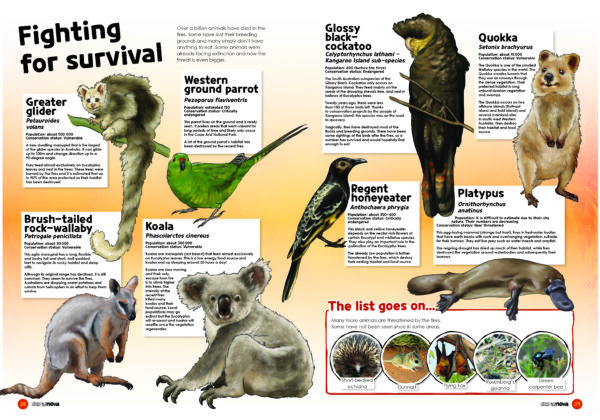 A spread of the Supernova Magazines about animals fighting for survival.