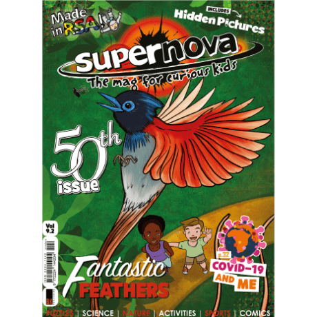 The cover art for Supernova volume 9.2., featuring fantastic feathers