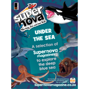 Supernova magazine Under the sea bundle box cover