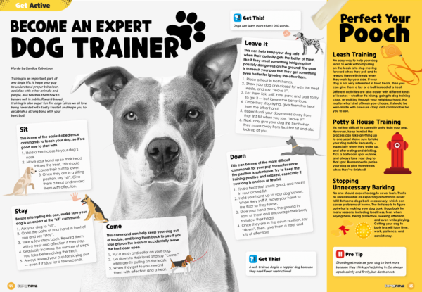 Become an expert dog trainer