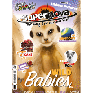 The cover art for Supernova volume 9.4, featuring a baby meerkat.