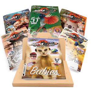 Volume 9 Box Set