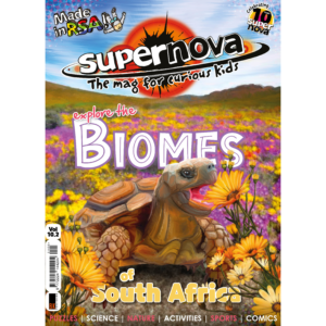 The cover art for Supernova volume 10.2, featuring a turtle.