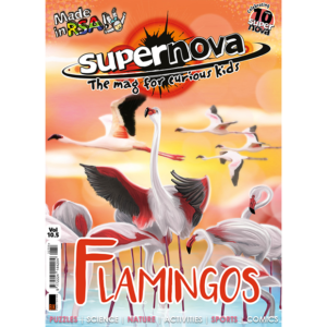 The cover art for Supernova issue 10.5, featuring flamingos.