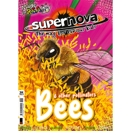 Cover art for Supernova magazine Volume 11.1, featuring a bee.
