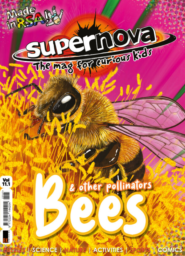 Supernova magazine vol 11.1 cover about bees