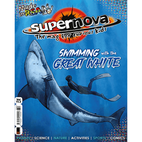The cover for issue 11.2 of Supernova magazine showing a diver and a great white shark