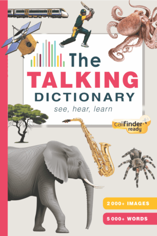 The cover art for The Talking Dictionary.