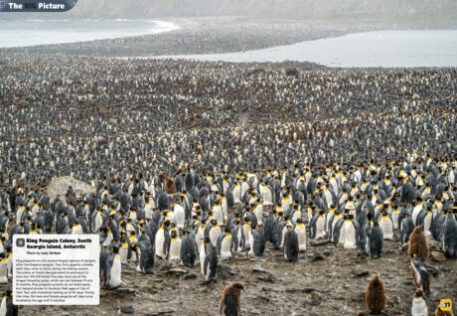 A spread of the Supernova Magazine about penguins
