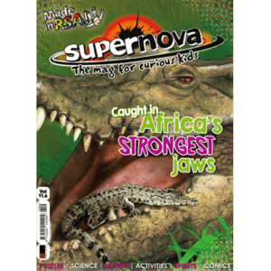 The cover for Supernova Magazine Vol 11.6, featuring a crocodile with a baby crocodile sitting in its mouth