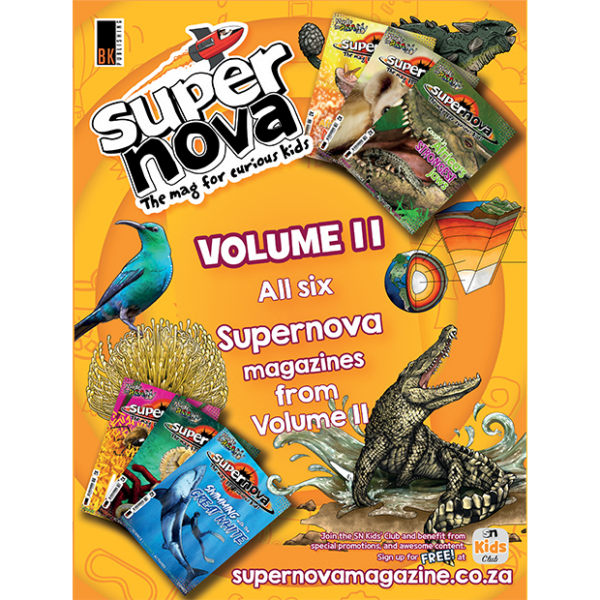 Supernova magazine volume 11 set