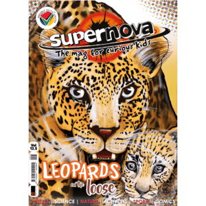 Supernova Magazine vol. 12.5