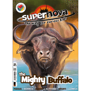 Supernova magazine vol. 13.2