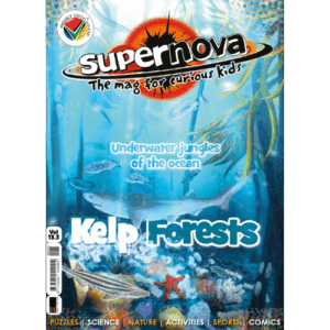 Supernova magazine vol. 13.3