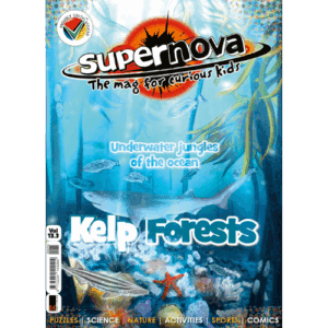 Supernova magazine vol. 13.3