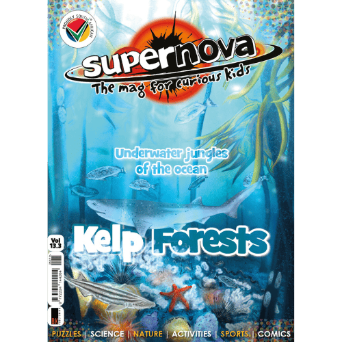 Supernova magazine vol. 13.3